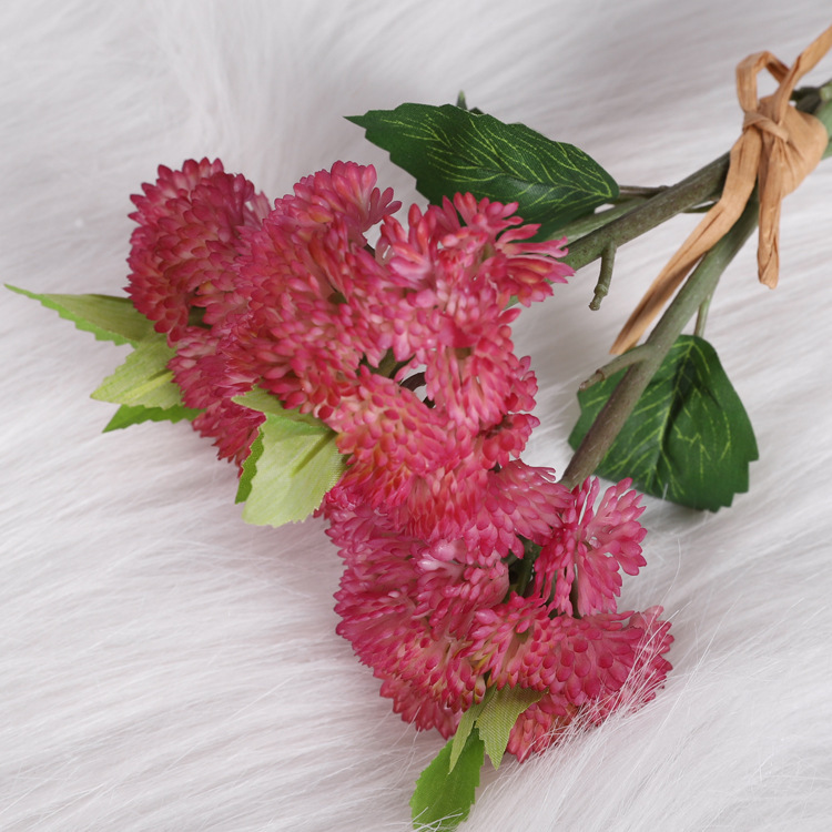Hydrangea fruit, rose red