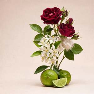Divain 923 Profumo da Donna, Fragranza Agrumata Primaverile a Intensità Moderata - Product Image 2