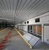 Poulailler Moderne de Style Ferme pour Petits Poulets, Structure en Acier, Cage d'Élevage de Poulets de Chair, Prix Compétitif