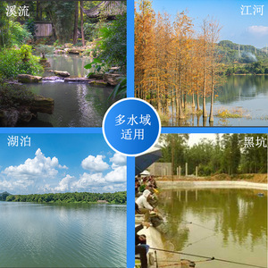 500g - Product Image 4