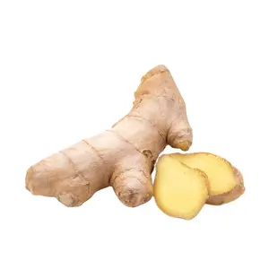 High quality organic ginger fresh and air dried ginger supply from Chinese organic ginger farm