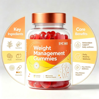 Gummies SYC BIO sans sucre pour la gestion du poids, 60 unités, avec mélatonine et L-théanine pour le soutien du sommeil, la santé quotidienne et la relaxation