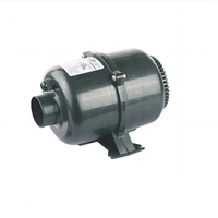Pompe à air pour bain moussant 700W