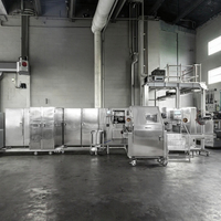 Customized Speed Adjustment Automatic Sugar Cone Producing Equipment for Customized Production Needs Condition New