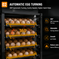 Incubateur d'œufs automatique industriel, grande capacité, machine à couver pour volailles avec contrôle intelligent de la température et de l'humidité