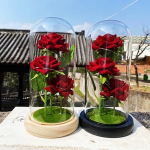 Tres Rosas Preservadas en Cúpula de Cristal, Adornos para el Día de la Madre, Flor Simulada con Cubierta de Cristal, Luces LED, Rosa Eterna - Product Image 5