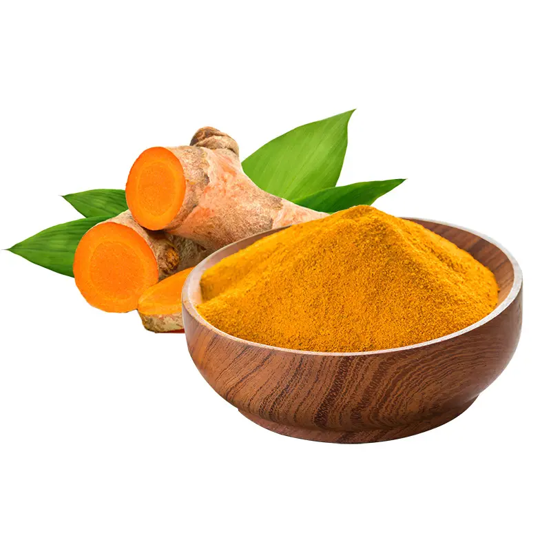 Hot Selling Powder Turmeric Root Extract Curcumin 95% 98% Extract Powder