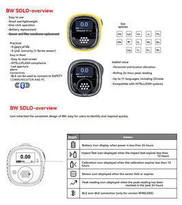 Détecteur de gaz sans fil BW CO/H2S/gazs combustibles, IP66/68, alarme par vibration/son/lumière, analyseur de gaz ATEX - Product Image 4