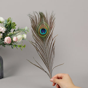 Lông công tự nhiên đẹp, tự làm, bán sỉ, dài 25-30cm, dùng làm phụ kiện kẹp tóc, băng đô hoặc trang trí hoa cưới - Product Image 4