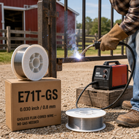 Alambre MIG sin gas con núcleo fundente E71T-GS 0.8mm 0.030" 1kg 5kg 15kg E71t-gs Alambre sin gas con núcleo fundente Venta al por mayor