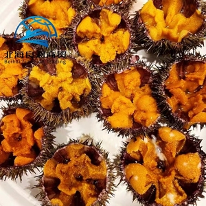 YITIOO Urchin de mer frais de haute qualité certifié HACCP, collation de fruits de mer semi-moelleux aromatisée à l'alcool, en boîte 100g/<span class=keywords><strong>plateau</strong></span>, provenant de Chine - Product Image 3