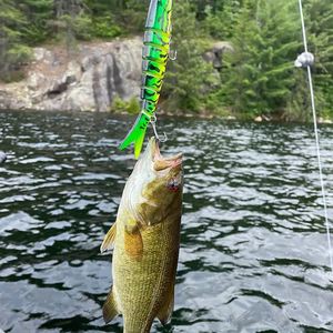 Señuelos para pescar pikes de 19g y 13.5cm, multiarticulados, con el mayor deslizamiento, tipo wobbler, para técnicas de pesca de fondo. - Product Image 4