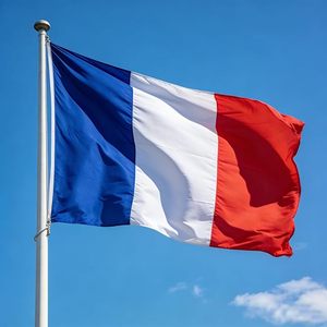 Bandera de Francia de 3x5 pies - Banderas de poliéster con 2 ojales de latón para decoraciones de fiestas francesas, decoraciones para eventos deportivos - Product Image 2