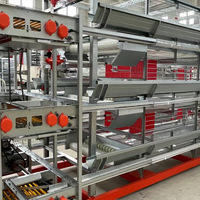 Nouvel équipement complet et entièrement automatique pour l'élevage de poulets à 4 niveaux, cage en batterie en acier galvanisé, machine de collecte automatique des œufs et des excréments