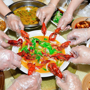 ถุงมือพลาสติกแบบใช้แล้วทิ้ง Helper หนาพิเศษ เกรดอาหาร โปร่งใส 0.5 มม. สำหรับบรรจุภัณฑ์กุ้งเครย์ฟิช ขายส่ง 100 ชิ้นต่อกล่อง - Product Image 1