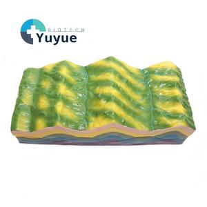 Modelo de Estructura Plegable y Evolución del Terreno, Ayuda Didáctica Geológica Tectónica 3D para la Educación Geográfica - Product Image 1
