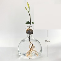 Jarrón de Vidrio Transparente Estético con Forma de Semilla de Aguacate, Florero Simple para Arreglos Florales Modernos en el Hogar