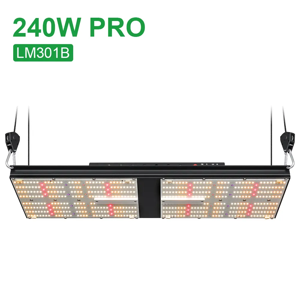 2020 avanzado MW viejo productores alcanzar increíble rendimiento de calidad superior de los resultados de la cosecha 240W Samsung LED crecer luz LM301B diodos