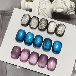 AILANUO Esmalte de Uñas Ojo de Gato 36 Colores Dark Knight, Gel para Uñas OEM/ODM, Laca de Uñas Hema TPO, Productos para el Cuidado de las Uñas - Product Image 3