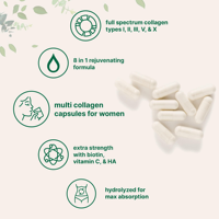 Cápsulas de Gel Suave con Complejo Multicolágeno OEM, 240 Cápsulas, Ácido Hialurónico Tipo I, II, III, V, X, Vitamina C, Suplementos Herbales para Adultos y Recién Nacidos