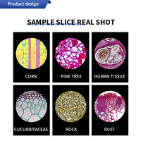 High Power 1600 Portable Biological Microscope 40X-640X Magnification Illuminated Shenlan XSP-02 Professional Students