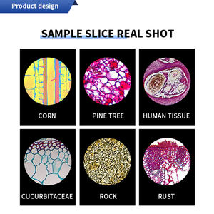 <span class=keywords><strong>Microscope</strong></span> biologique portable haute puissance 1600, grossissement 40X-640X, éclairé, Shenlan XSP-02, professionnel, étudiants - Product Image 2