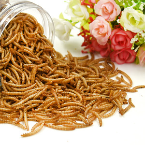 Crown Asia <b>Dried</b> <b>Mealworms</b> 750ml Can For Hamsters Small Animal Feeder Reusable Plastic Container - Product Image 2