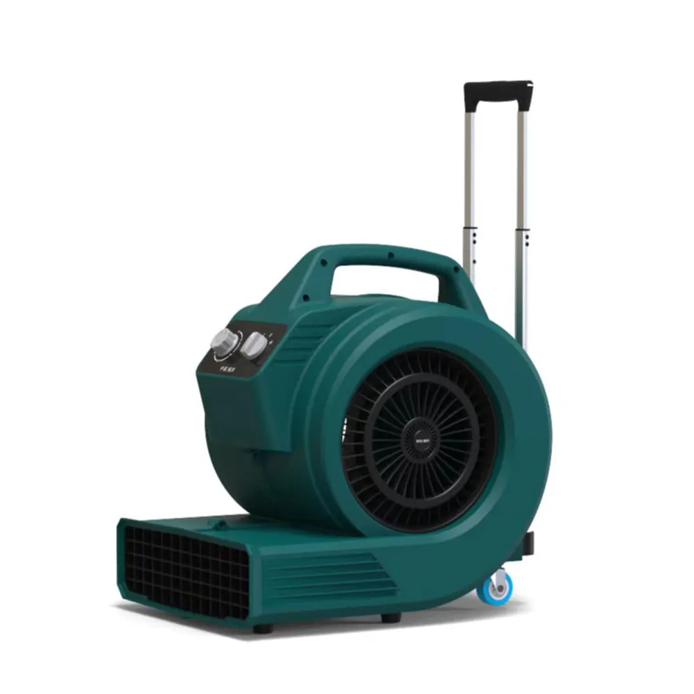 Portable adjustable speed dryer ground blowing machine