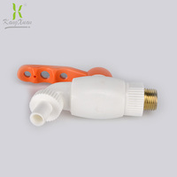 Fabricant fournit en plastique ABS de haute qualité robinet de tuyau blanc à ouverture rapide/robinet ppr/robinet à bavette