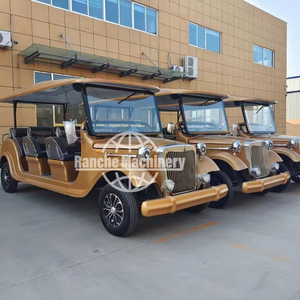 รถรับส่งไฟฟ้าคลาสสิกความบันเทิงรถรับส่ง2025แบบกำหนดเองผู้ผลิตขายตรง - Product Image 1