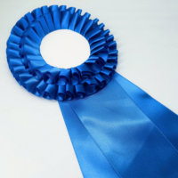 Rosette promotionnelle en satin à deux couches de 4 pouces avec bouton en plastique