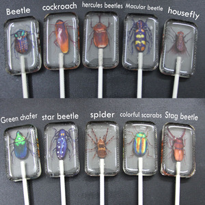 Nuevo Producto Creativo, Caramelo con Forma de Insecto Hecho a Mano, Piruleta de Insecto, Caramelo de Halloween al por Mayor, Caramelo Ámbar - Product Image 3