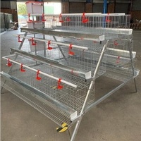 Cage automatique galvanisée pour poules pondeuses 5000 Type A Batterie de ponte d'œufs de reproduction à 4 niveaux Système d'élevage de volaille Poulailler