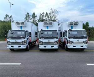 New Diesel Manual Dongfeng 4X2 4200m Freezer Box <b>Refrigerated</b> <b>Truck</b> 5 Tons Frozen Food Transport - Product Image 3