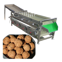 Orbitale Fruitsorteermachine Oranje Walnoot Sorteerder Sizer Grader Tomaat Mangosteen Walnoot Sorteermachine