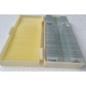 Human skin sections with sweat glands; histology and embryology; animal and plant specimens; teaching equipment; <b>microscope</b> - Product Image 1