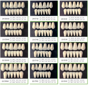 Dents synthétiques en résine acrylique antérieure supérieure à deux couches, certifiées CE/ISO, multi-tons - Product Image 6