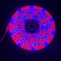 Bandes LED flexibles étanches 12V 24V 48V DC 12v/24v 10W à spectre complet