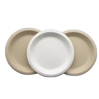 Vaisselle biodégradable écologique Assiettes jetables naturelles pour les célébrations de la fête verte