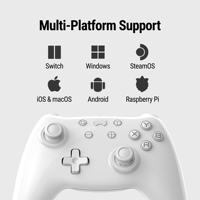 Control de Juego Inalámbrico OEM de 2.4GHz con Botón Turbo y Giroscopio de Seis Ejes para Nintendo Switch, Suministro de Fábrica PB