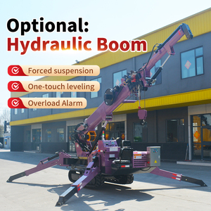 <span class=keywords><strong>Grue</strong></span> araignée <span class=keywords><strong>hydraulique</strong></span> - Fonctionnement fluide, haute précision, idéale pour les tâches de levage lourd en entrepôt et en <span class=keywords><strong>atelier</strong></span> - Product Image 3