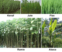 Équipement de traitement pour fermes de chanvre : Décortiqueuse de ramie, abaca, kenaf, extracteur de fibres de sisal et d'ananas