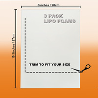 Almohadillas de Espuma Lipo de 8 x 11 Pulgadas, Paquete de 5, Postoperatorias, para Abdomen, Liposucción, Prendas de Compresión, Cojines Aplanadores, Cojines Lumbares para Asiento