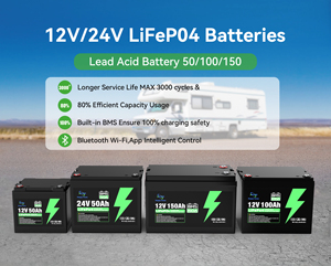 Sistem Penyimpanan Baterai Surya Lithium Ion Bluetooth IP65 Deep Cycle Customized Lifepo4 Lfp 12v 24v 50ah 100ah - Product Image 6