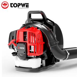 Soplador de Hojas Profesional con Motor de Gasolina, Tipo Mochila, de la Marca TOPWE, Suministro de Fábrica, con Certificación CE/GS/EU-V - Product Image 5