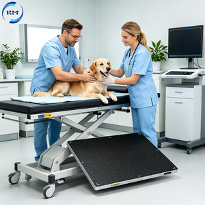Détecteur à panneau plat vétérinaire haute sensibilité 17*17 pouces pour examen des animaux de compagnie (FPD) - Product Image 6