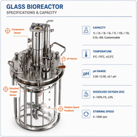 Fermenteur de paillasse à commande parallèle, bioréacteur 1-15L, cuve sous pression en verre borosilicaté de haute qualité, agitateur mécanique contrôlé par PLC