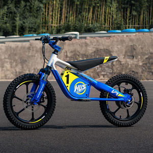 Bicicleta de Equilibrio Plegable y Ajustable en Altura para Niños con Scooter Infantil de 12 Pulgadas, 30v 653w, Fácil de Transportar, V2 - Product Image 1