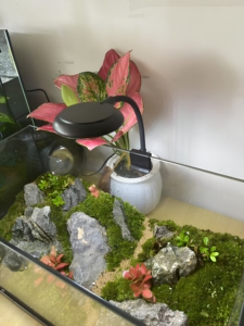 360 Degree Rotatable LED <strong>Aquarium</strong> Light Clip-on Fish Tank Lamp Simulated <strong>Sunlight</strong> Dimmable 3 Modes for Nano Tank - Product Image 6