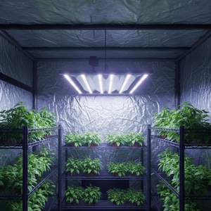 ETL DLC CE Samsung Growth Lamp Vertical Farming Led Grow Strip Foldable Full Spectrum Commercial 720W Led Grow <b>Light</b> - Product Image 1